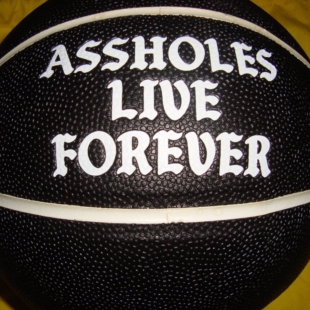 A$$HOLES LIVE FOREVER Regulation size Basketball Linda Finegold NEW Kirill Rare